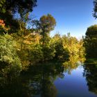 Herbst in den Rheinauen