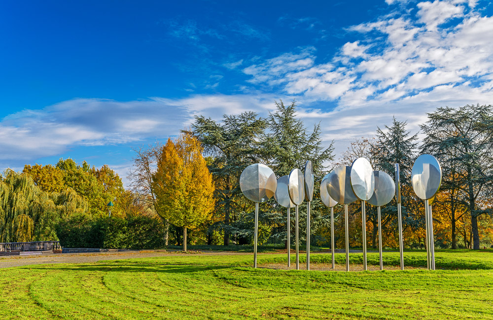 Herbst in den Rheinauen 3