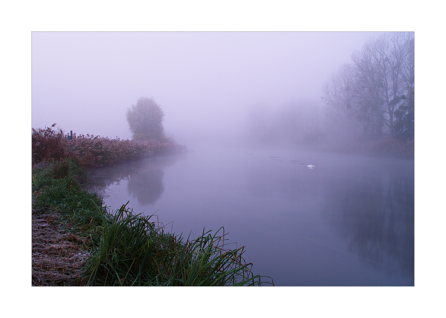 Herbst in den Rheinauen...