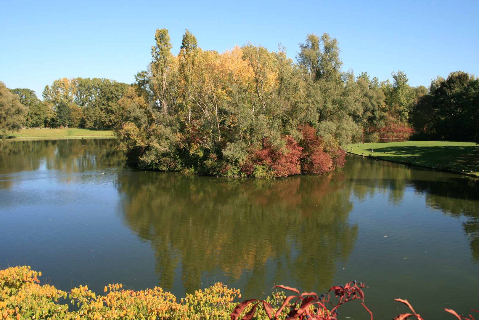 Herbst in den Rheinauen in Bonn