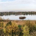 Herbst in den Rieselfeldern