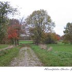 Herbst in den Rieselfeldern II