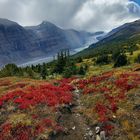 Herbst in den Rockies