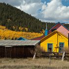 Herbst in den Rockies