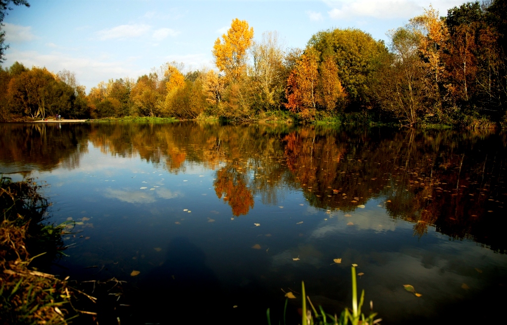 Herbst in den Rurauen bei Jülich