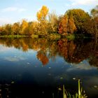 Herbst in den Rurauen bei Jülich