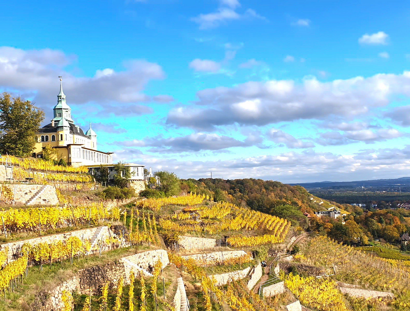 Herbst in den sächsischen Weinbergen