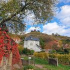 Herbst in den Sächsischen Weinbergen 