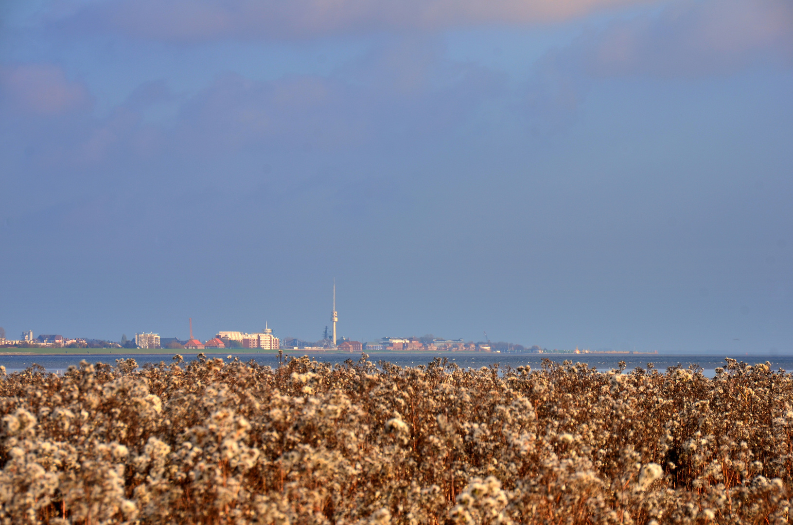 Herbst in den Salzwiesen...[1]