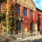 Herbst in den schönsten Farben