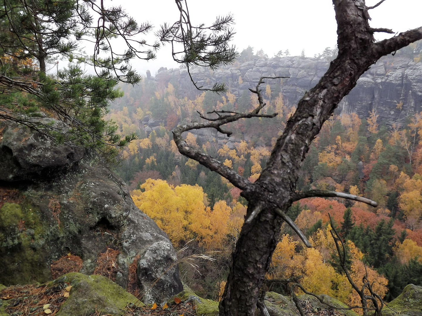 Herbst in den Schrammsteinen