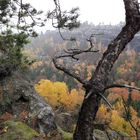 Herbst in den Schrammsteinen