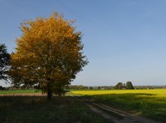 Herbst in den Sieben Bergen ...