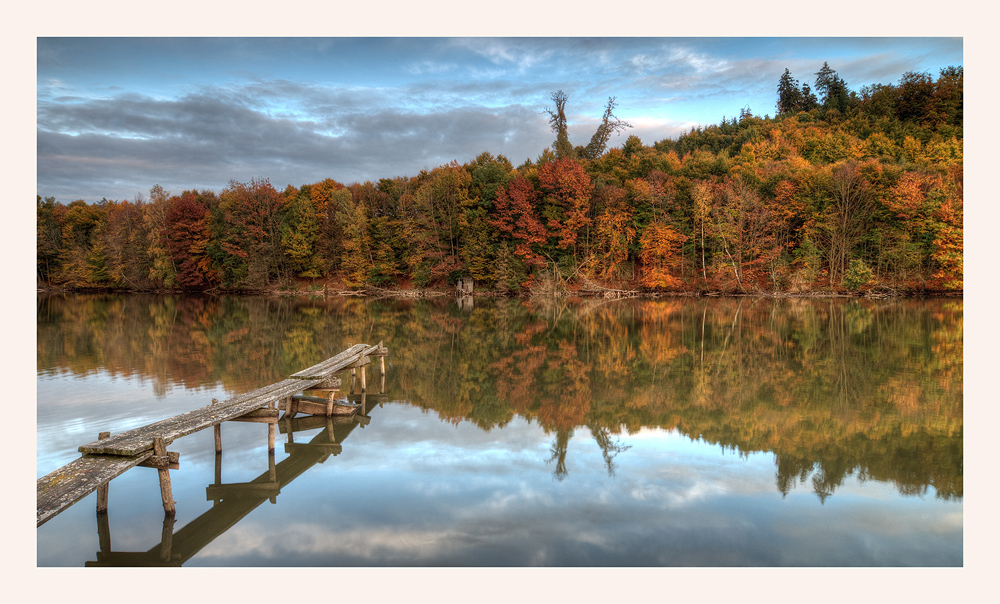 Herbst in den Stauden