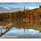 Herbst in den Stauden