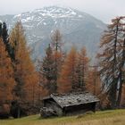 Herbst in den Tiroler Bergen *2