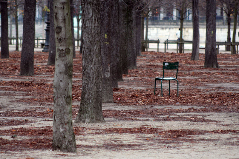 Herbst in den Tuileries