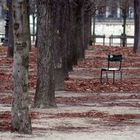 Herbst in den Tuileries