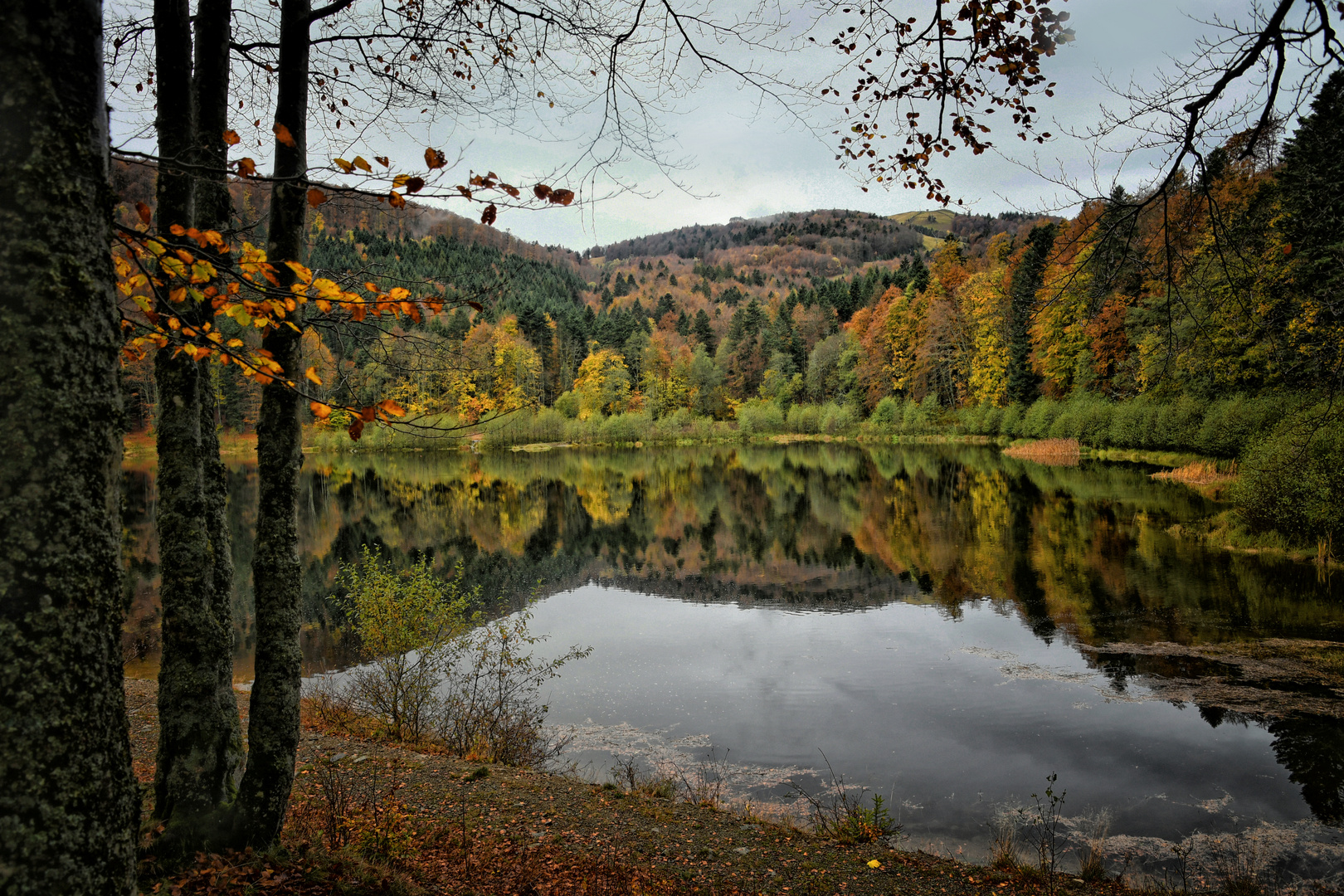 Herbst in den Vogesen