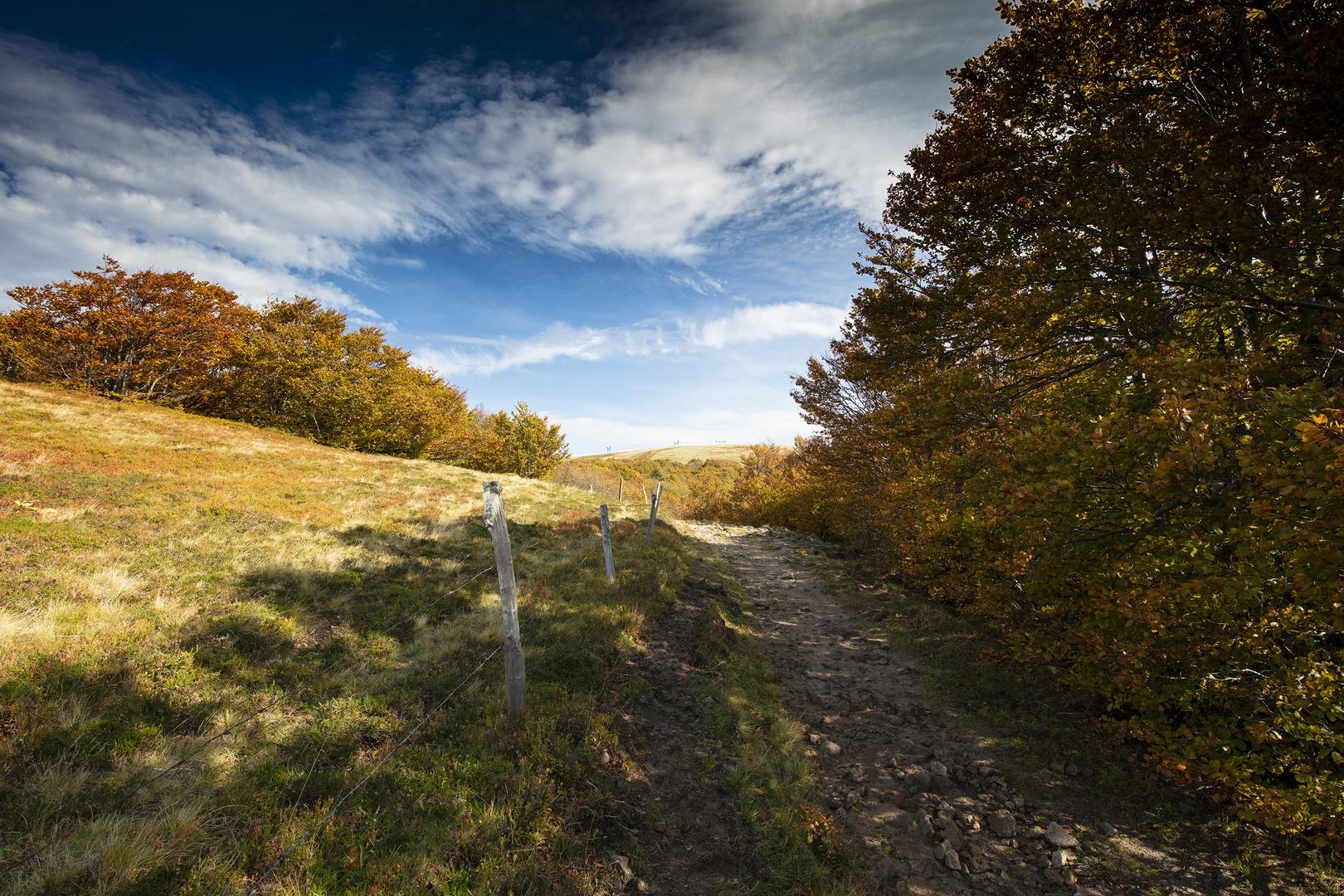 Herbst in den Vogesen