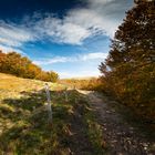 Herbst in den Vogesen