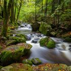 Herbst in den Vogesen