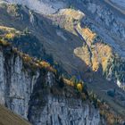 Herbst in den Voralpen