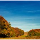 Herbst in den Wäldern von Meerane