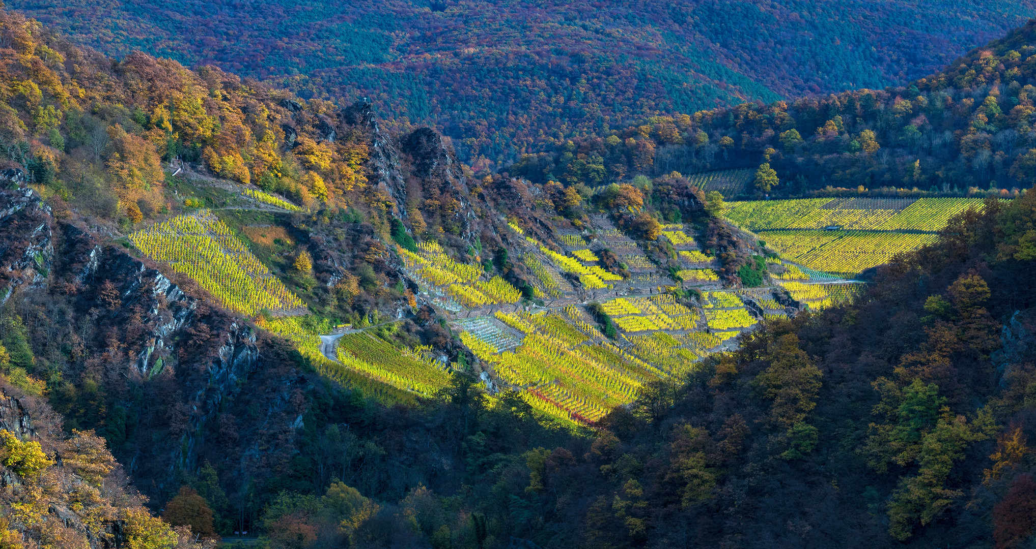 Herbst in den Weinbergen