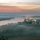 Herbst in den Weinbergen 3