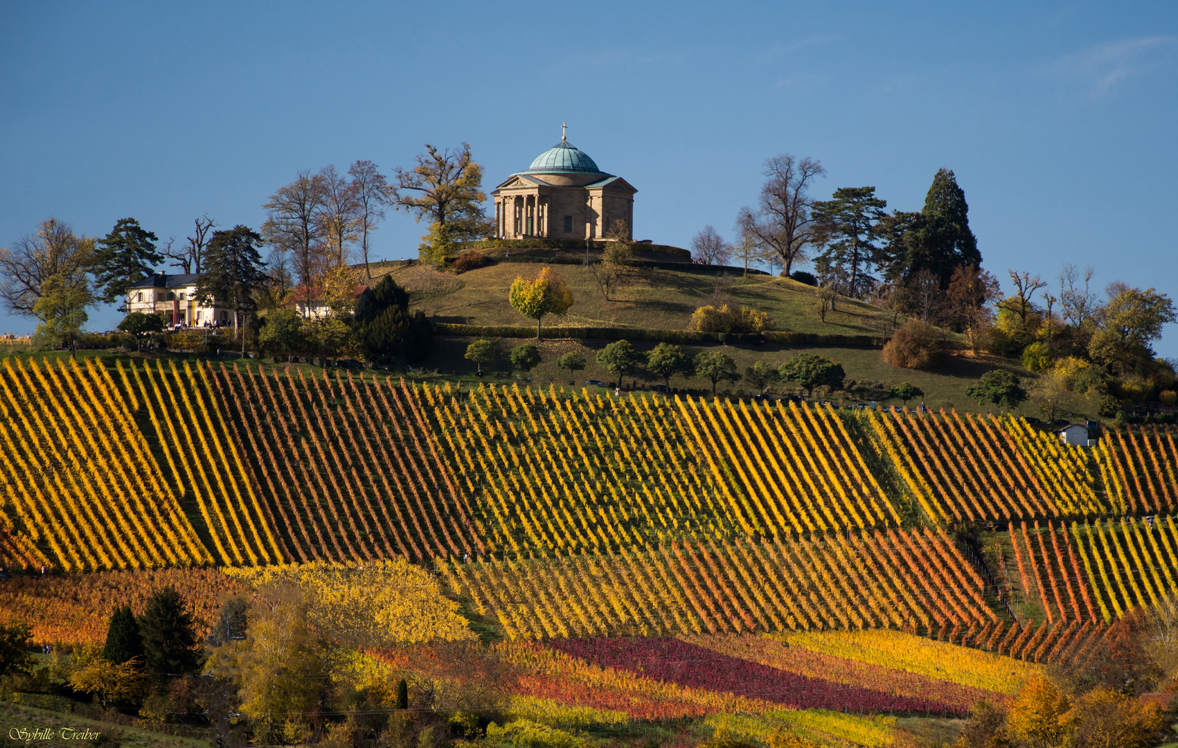 Herbst in den Weinbergen