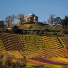 Herbst in den Weinbergen