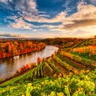 Herbst in den Weinbergen