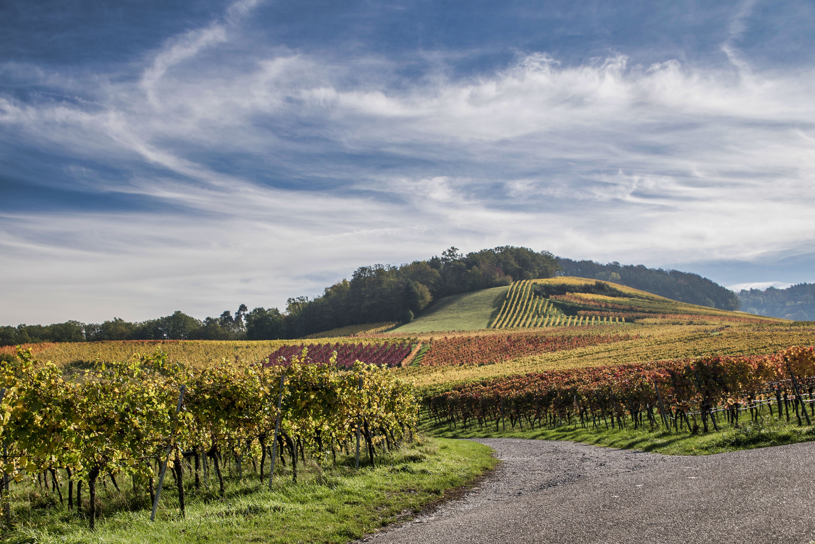 Herbst in den Weinbergen bei Löwenstein