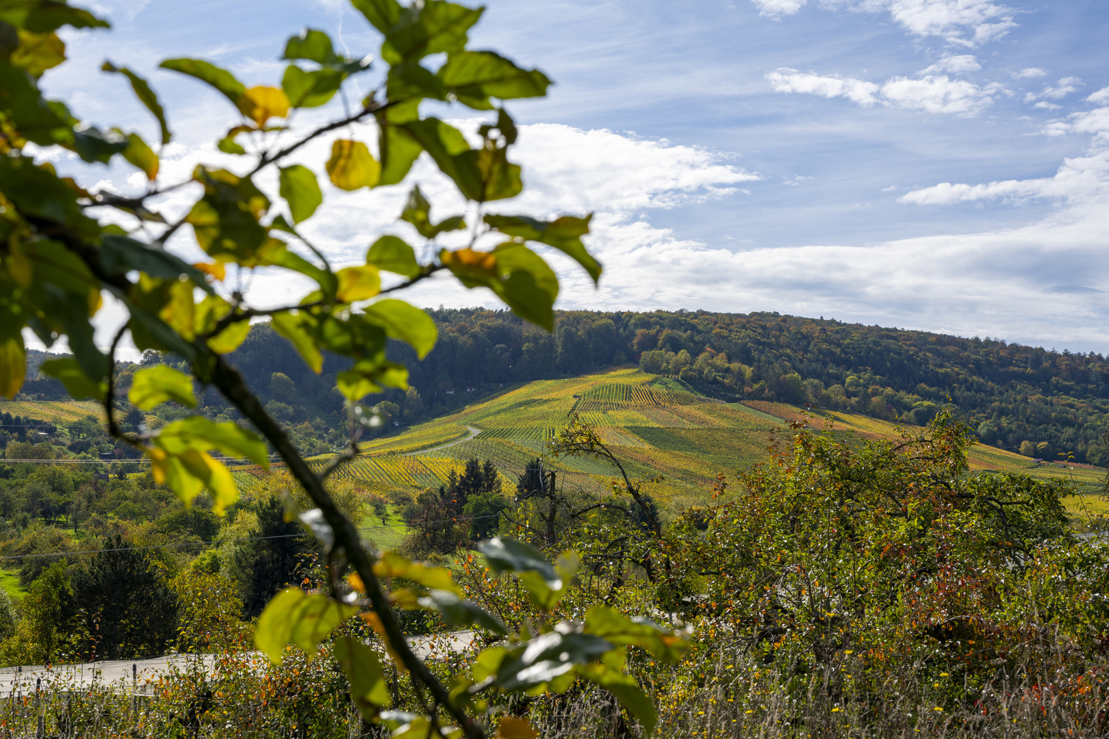 Herbst in den Weinbergen bei Stetten