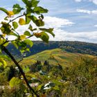 Herbst in den Weinbergen bei Stetten