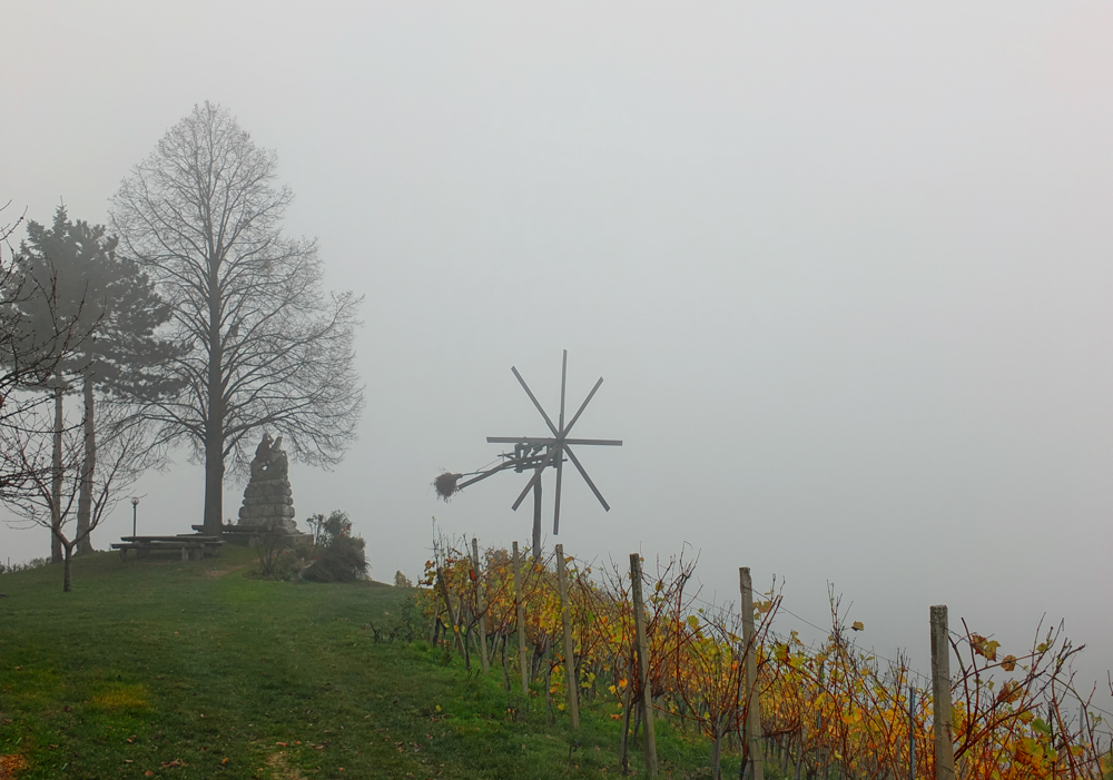 Herbst in den Weinbergen I