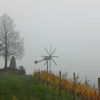 Herbst in den Weinbergen I