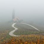 Herbst in den Weinbergen II