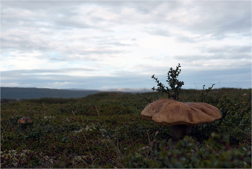 Herbst in den Westfjorden..