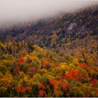 Herbst in den White Mountains