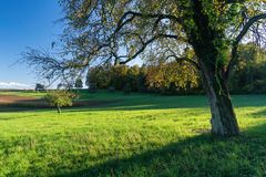 Herbst in den Wiesen und Feldern