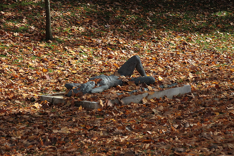 Herbst in der Allee