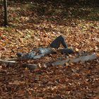 Herbst in der Allee