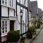 Herbst in der Altstadt