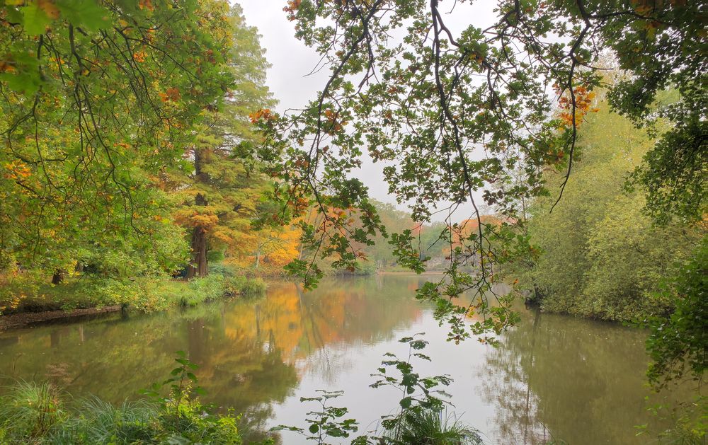 Herbst in der Anholter Schweiz