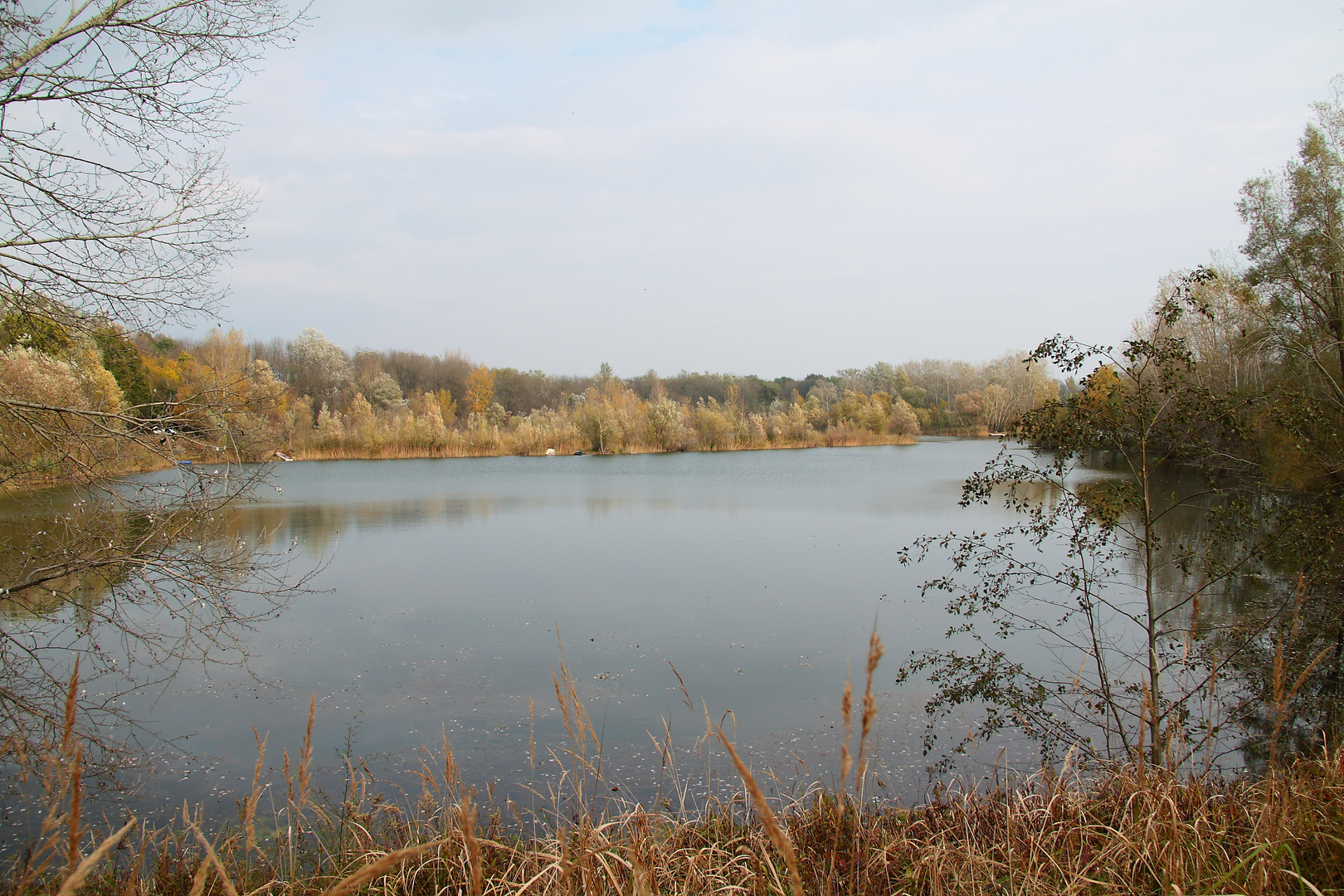 Herbst in der Au