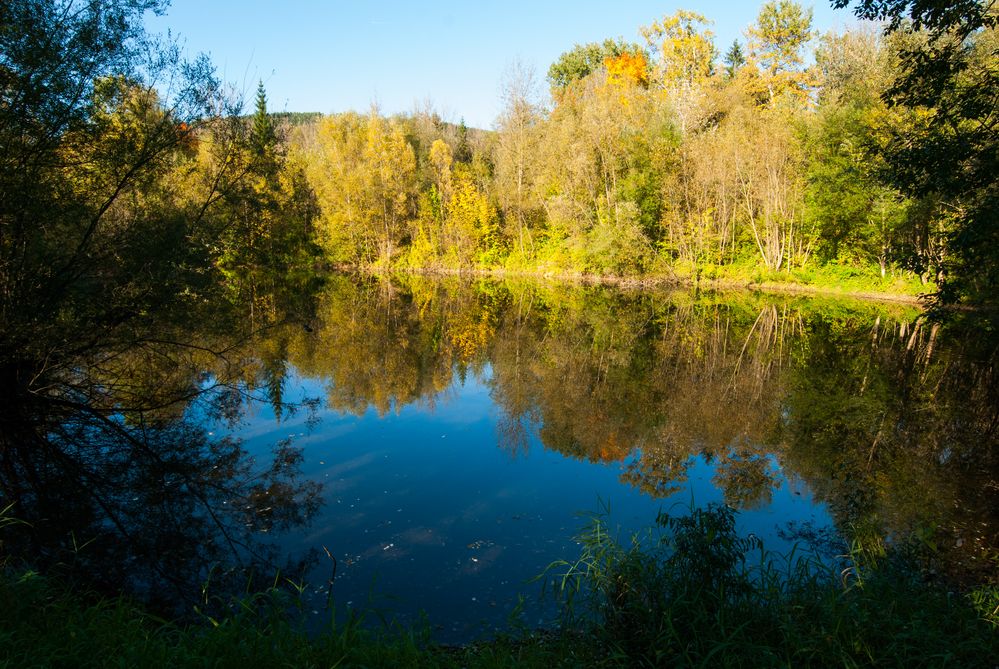 Herbst in der Au 2