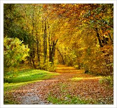 Herbst in der Aubinger Lohe