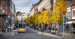Herbst in der Bahnhofstrasse | Mainz